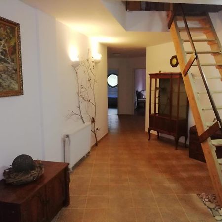 Domurile Din Zarnesti Hotel Bagian luar foto
